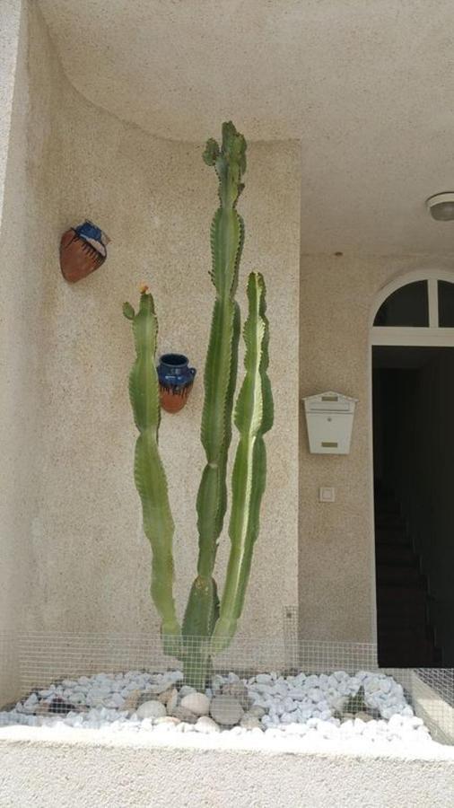 فيلا Casa El Algarrobico أغوا امارجا المظهر الخارجي الصورة